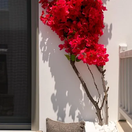 Sunsal Luxury - Earth Naousa (Paros)