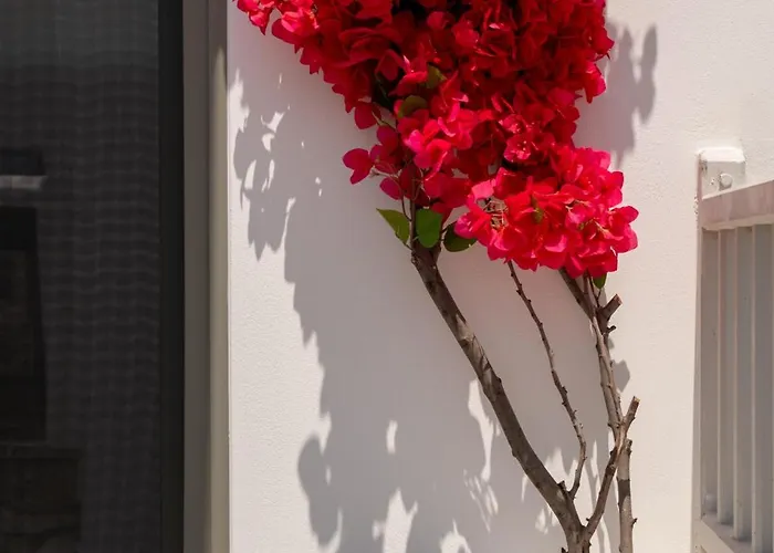 Sunsal Luxury - Earth Naousa (Paros)